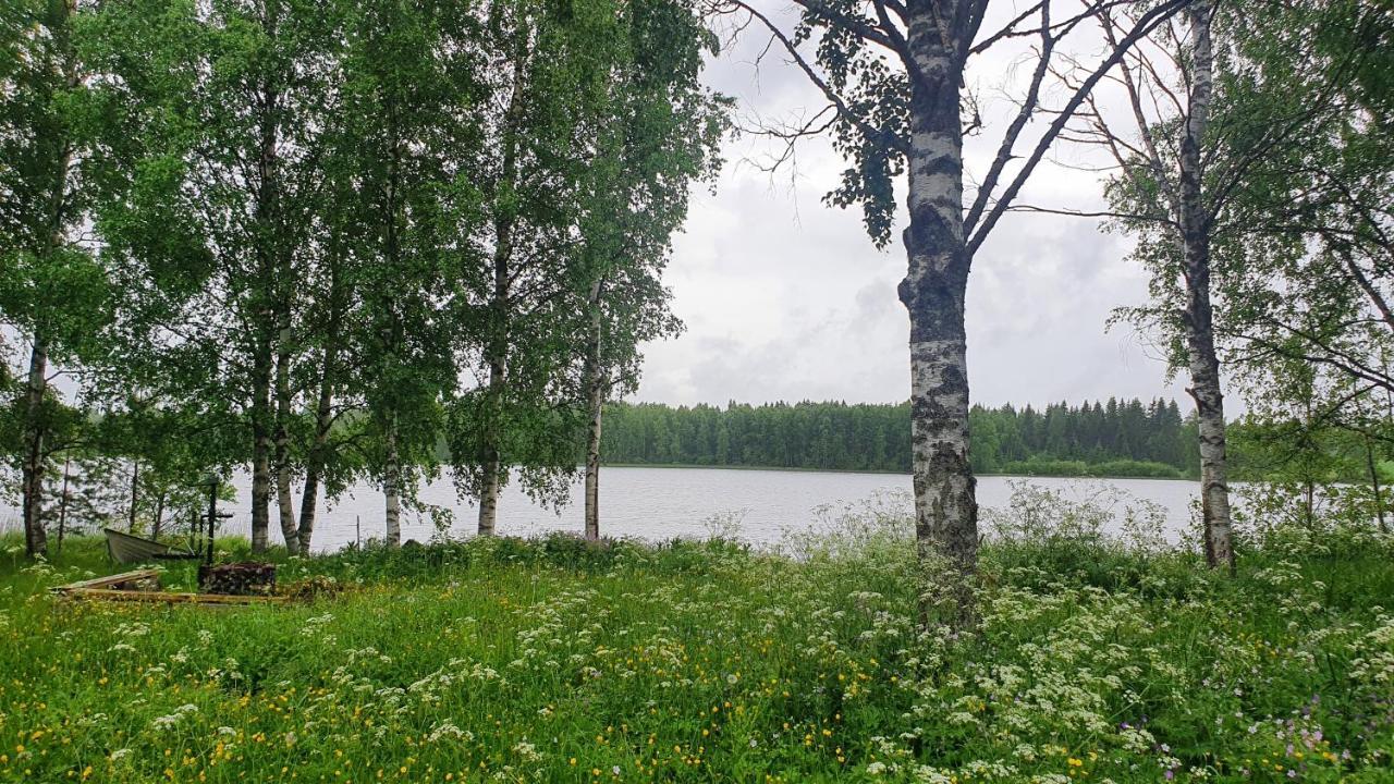 Viihtyisae Kolmio Jaerven Rannalla Haapavesi Bagian luar foto